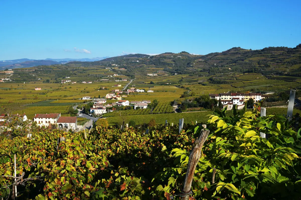 Las Colinas del Prosecco